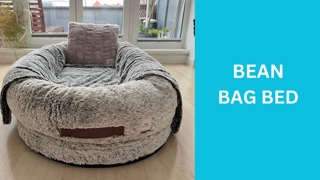 Ultimate Guide to Bean Bag Beds: Comfort and Style for Every Home